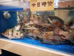 -双井轩(双井店)