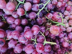 -红星农博物流中心