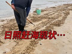 -日照灯塔风景区