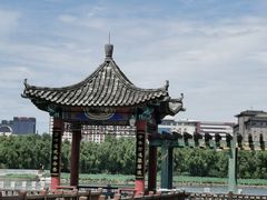 -莲花池公园