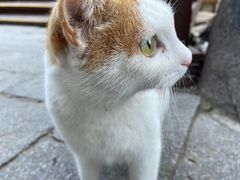 -崂山九水游览区