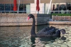 -南京圣和府邸豪华精选酒店-宴会厅婚宴·生日宴·宝宝宴