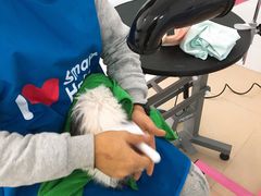 -圣宠动物医院·犬猫专科·影像中心·外科中心