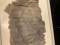 -南门四季铜锅涮肉(大屯·北苑店)