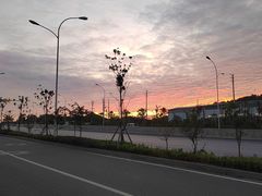 -野妹经典火锅(江夏中百店)