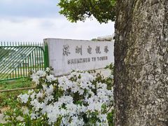 -梧桐山风景名胜区