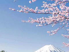 -荒岛实景沉浸密室(江汉路1店)