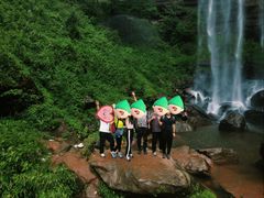 -铁山坪森林公园