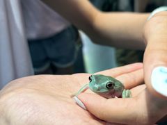 -帕帕拉兹宠物(亚洲旗舰店)