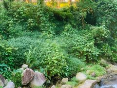 -广东天露山旅游度假区