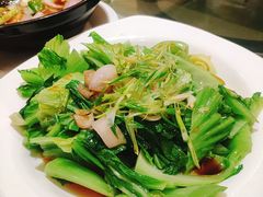 -张记旺角食街(动物园店)