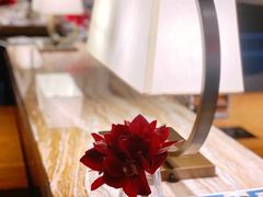 -珍宝轩海鲜火锅(碧湖大厦店)