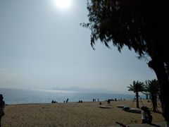 -演武大桥观景平台