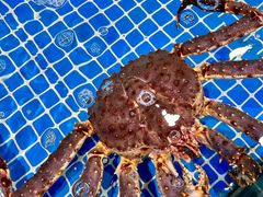 -三亚火车头万人海鲜广场