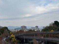 -福道