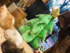 -more than meow吴止猫主题餐厅(承德 中船汇店)