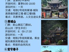 -成都大熊猫繁育研究基地