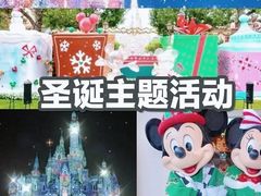 -上海迪士尼度假区