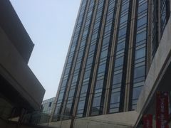 -蓝钻天成
