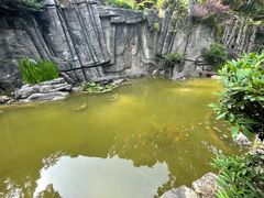 -南山植物园
