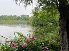 -梁鸿国家湿地公园