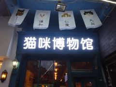 -猫咪博物馆(顶澳仔猫街店)