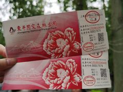 -东平国家森林公园