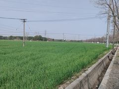 -嘉北郊野公园