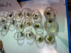 -酷嗒动物文化乐园(cutezoo西溪乐天城店)