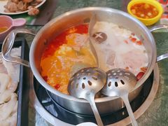 -集渔·泰式海鲜火锅(犀浦店)