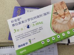 -天宠宠物医院24小时·急重症诊疗中心·全科·腔镜特色(和平分院)