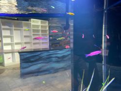 -酷嗒动物文化乐园(cutezoo西溪乐天城店)