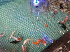 -水晶之星洗浴温泉汗蒸