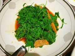 金花菜蚌肉-米桃·苏园·苏锡菜(仁恒仓街店)