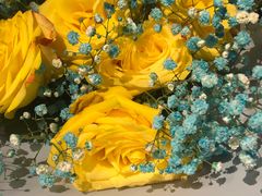 -1861意大利餐厅(文化广场店)