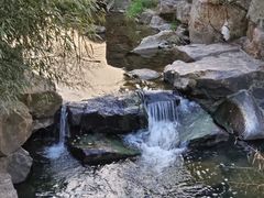 -竹海湾农家土菜