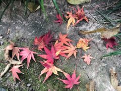 -上海市龙华烈士陵园