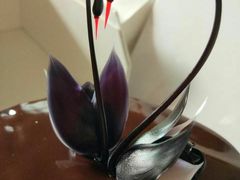 -BLACKSWAN黑天鹅(环球店)