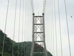 -阿里山邹族烤肉团队(山猪亮)