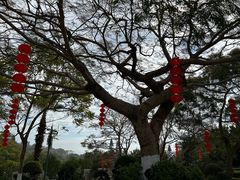 -胡里山炮台