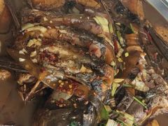 -庆岭迎宾园正宗活鱼馆