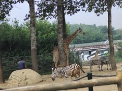 -大连森林动物园