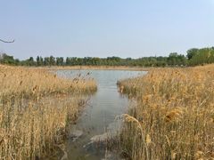 -野鸭湖国家湿地公园