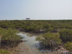 -北海金海湾红树林生态旅游区