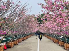 -观澜湖生态运动公社