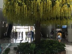 -南方医科大学深圳医院