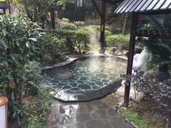 -明月山天沐温泉度假村