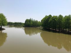 -上海海湾国家森林公园