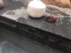 -溧阳天目湖天沐温泉