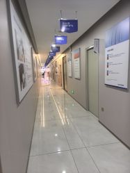 -碧莲盛不剃发植发